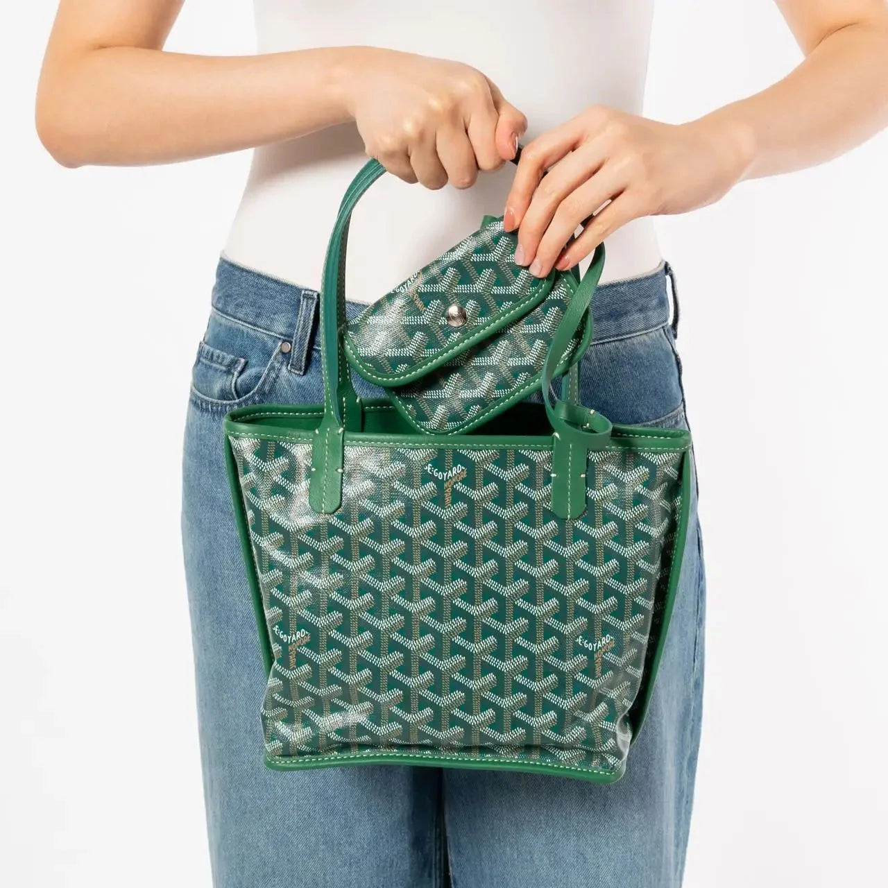 Goyard Anjou Mini Bag Green