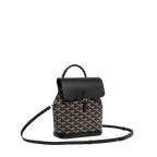 Goyard Alpin Mini Backpack Black